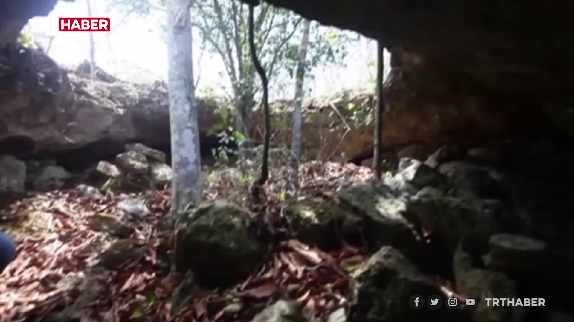 Meksika'da Keşfedilen Mağarada 1200 El İzi Çocuklara Ait